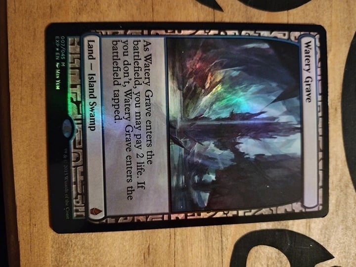 MTG Watery Grave FOIL Zendikar Expeditions NM