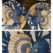 Z Gallerie Melamine plate set
