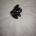 Magnet rattlesnake sound