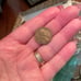 1954 error wheat penny