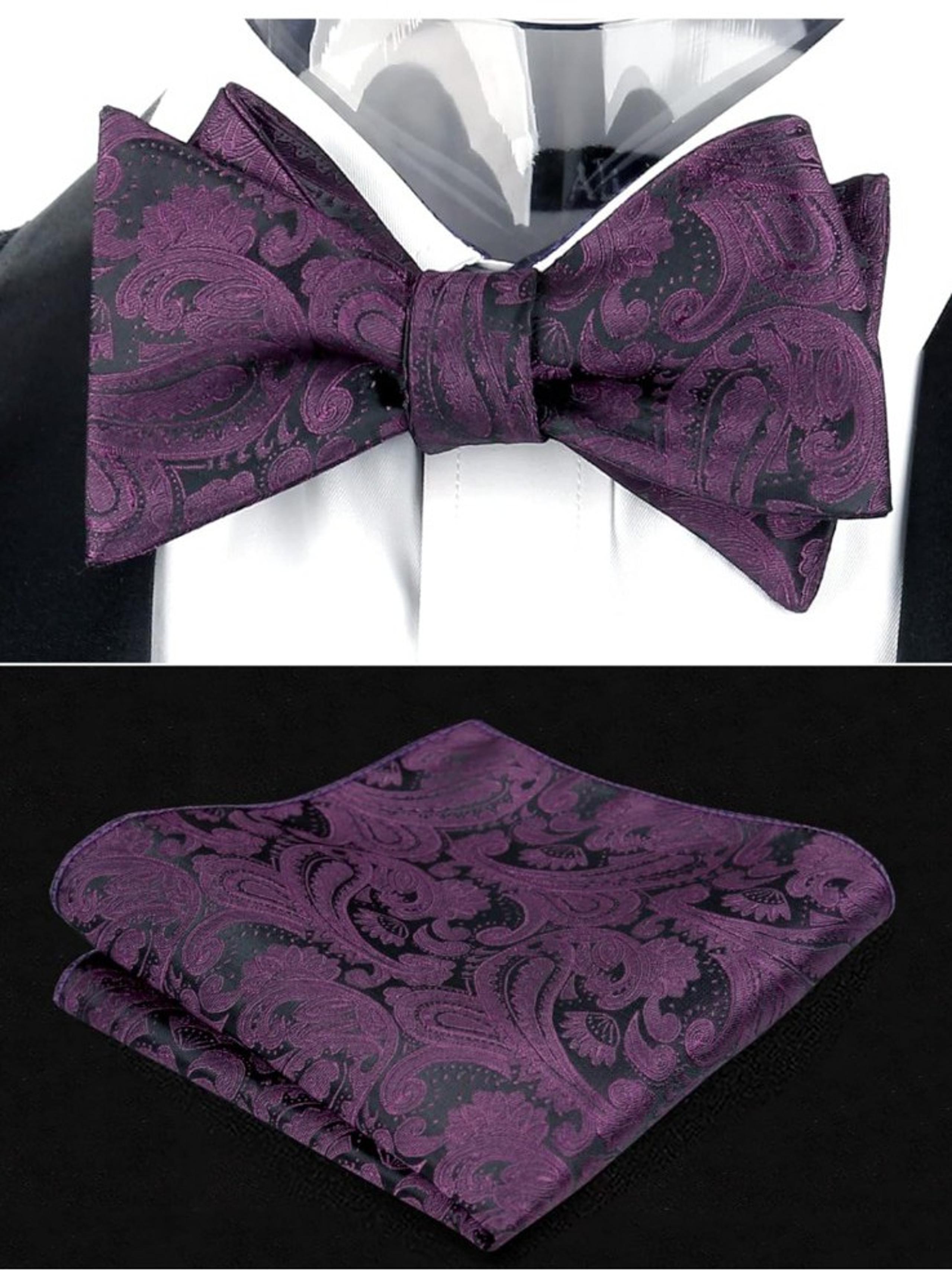 Alizeal Mens Paisley Jacquard Self-Tie Bow Tie Pocket Square Set