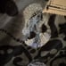 skull blanket