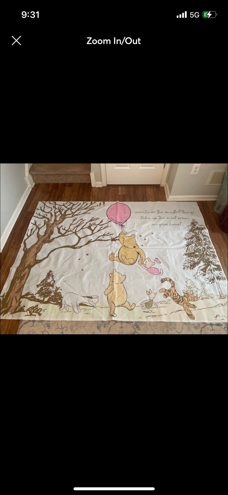 Pooh birthday lot