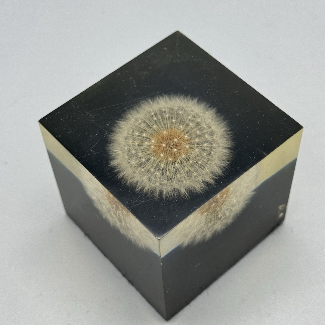 Vtg Dandelion Cube Paperweight Encased In Lucite Resin Acrylic 2 3/8 in sq READ