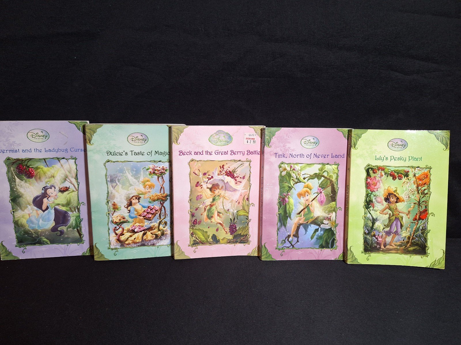 Disney Fairies Book Bundle