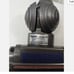 Dyson Animal head