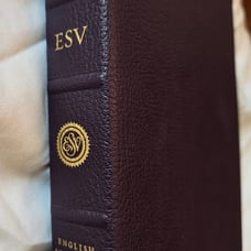 ESV Heirloom Single Column Legacy Bible comes in purple goatskin