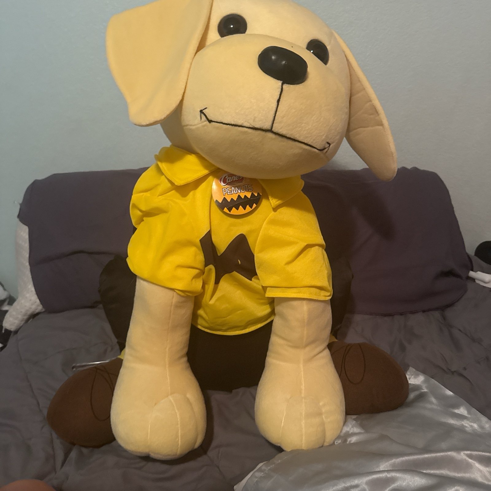Raising Canes dog plushie with snoopy
