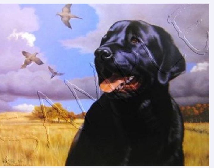 Wings Overhead Print By Robert Christie #439/500 Edition#2