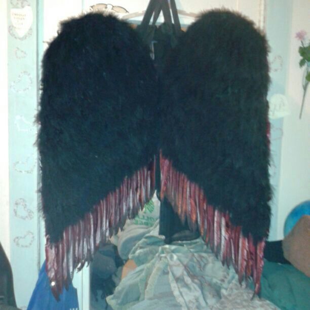 Real feathered wings