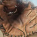Lot of 4 all RHT Baseball Gloves