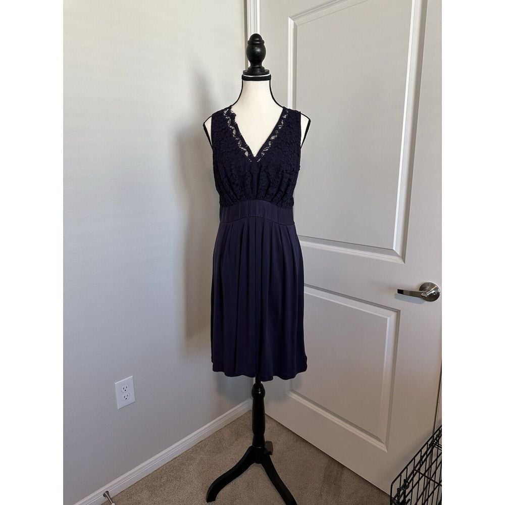 Banana Republic Purple Silk Blend Lace Dress 10