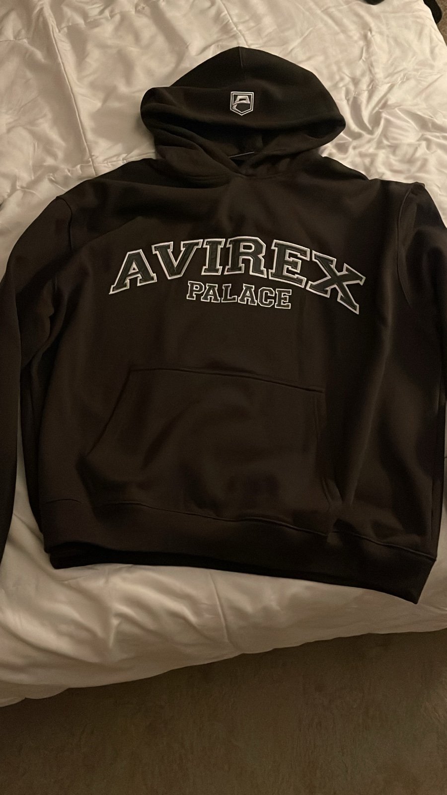 Palace Avirex hoodie