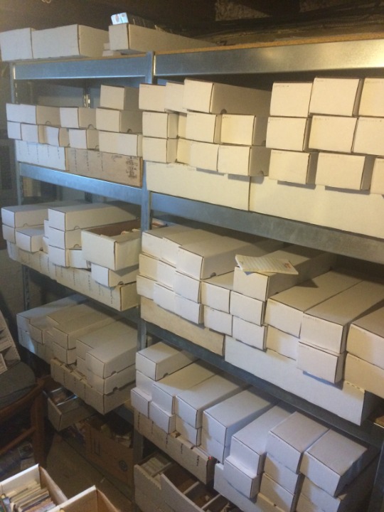 1500 Florida Marlins cards 1993-now