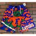 FLORIDA GATORS Mitchell & Ness Basketball Shorts ~New~ S-XL