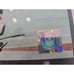 drew pearson autographed 8x10 photo with Certificate Of Authenticity