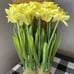 Valerie Parr Hill Daffodil bundles- Large 15” yellow(Set of 2)