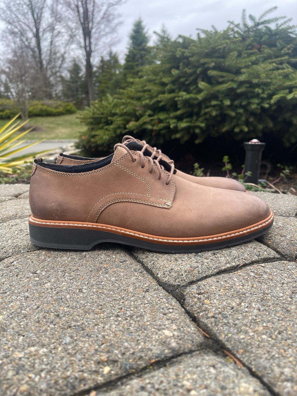COLE HAAN Mens Leather Shoes