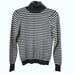 Banana Republic Gray White Horizontal Striped Turtleneck Long Sleeve Top S
