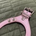 Pink dog harness Buddy Belts brand