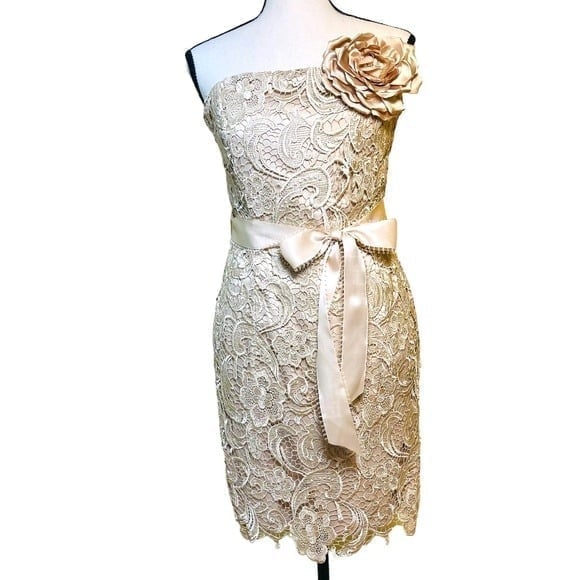 Cache lace dress with belt