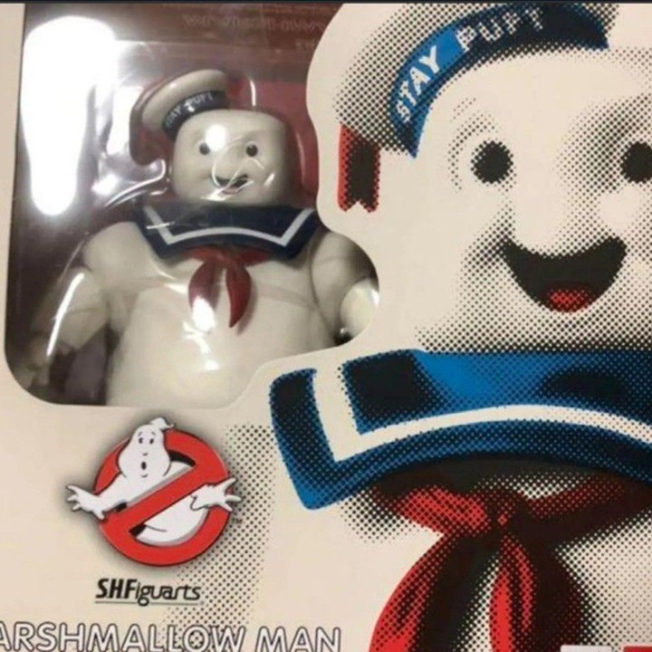 S .H .figuarts Ghostbusters Stay figure