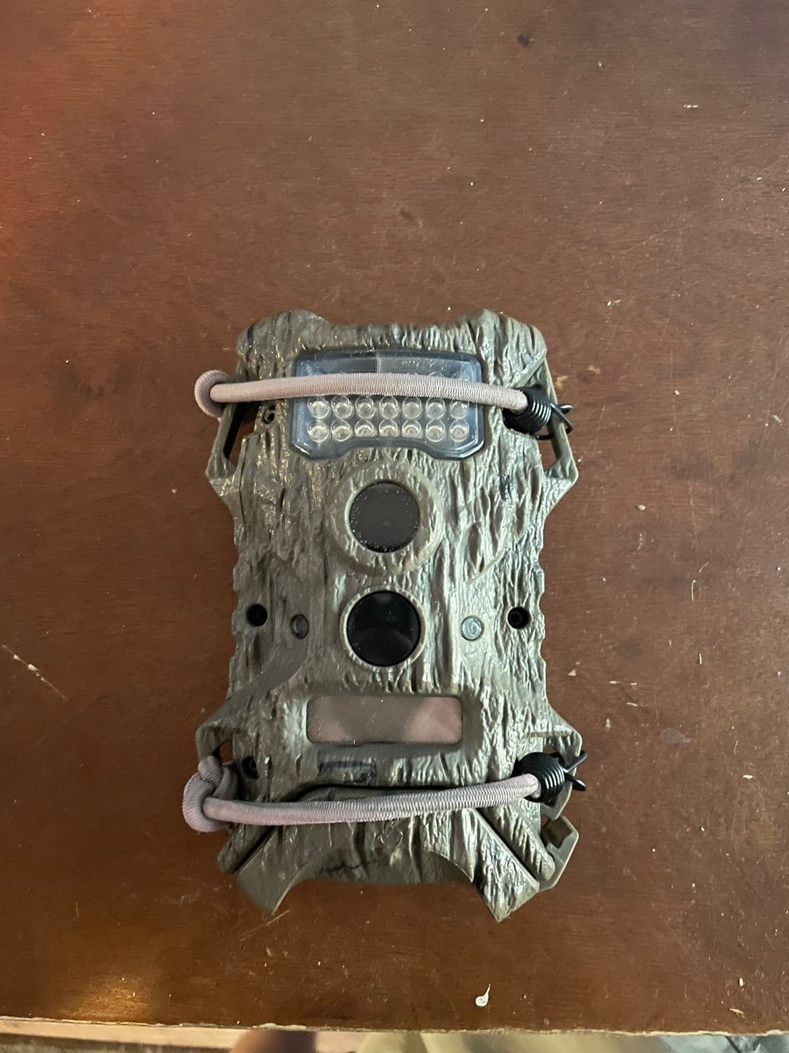 trail camera