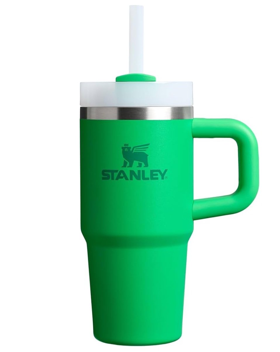 Stanley Meadow 20oz