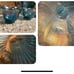 Vintage carnival glass blue iridescent grape/ leaf punch bowl set