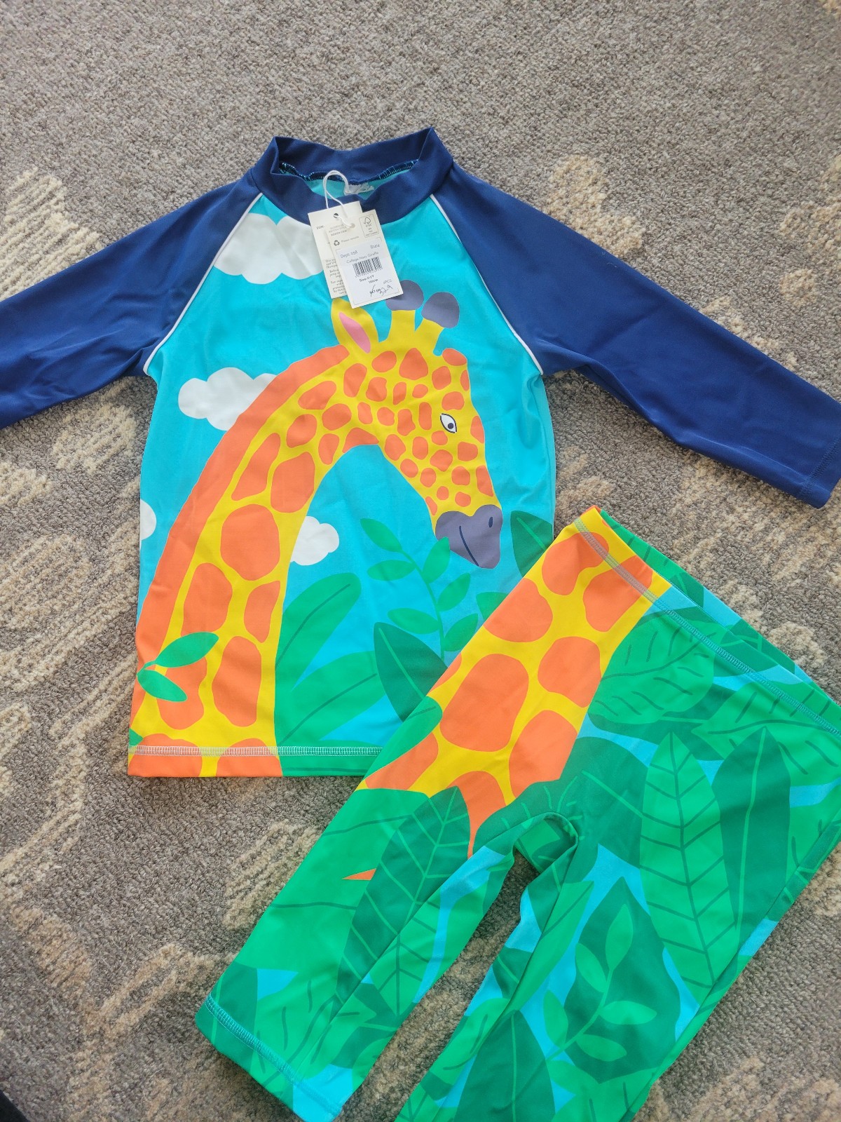 Giraffe swim set