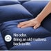 Extra Thick Cooling Mattress Topper Queen for Back Pain