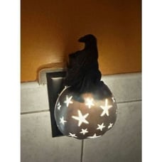 Bath & Body Works Halloween 2022 Spooky Pumpkin Crow Nightlight Wallflower Plug