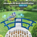 Bird Feeder with Camera, AI Identify Bird Breed, Smart Bird Feeder with Camera,