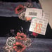 Striped Blush Roses Carly XS 2/4 Dress Extra Small Lularoe Unicorn Floral LLR