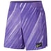 Nike Court Flex Ace Psychic Purple AT431