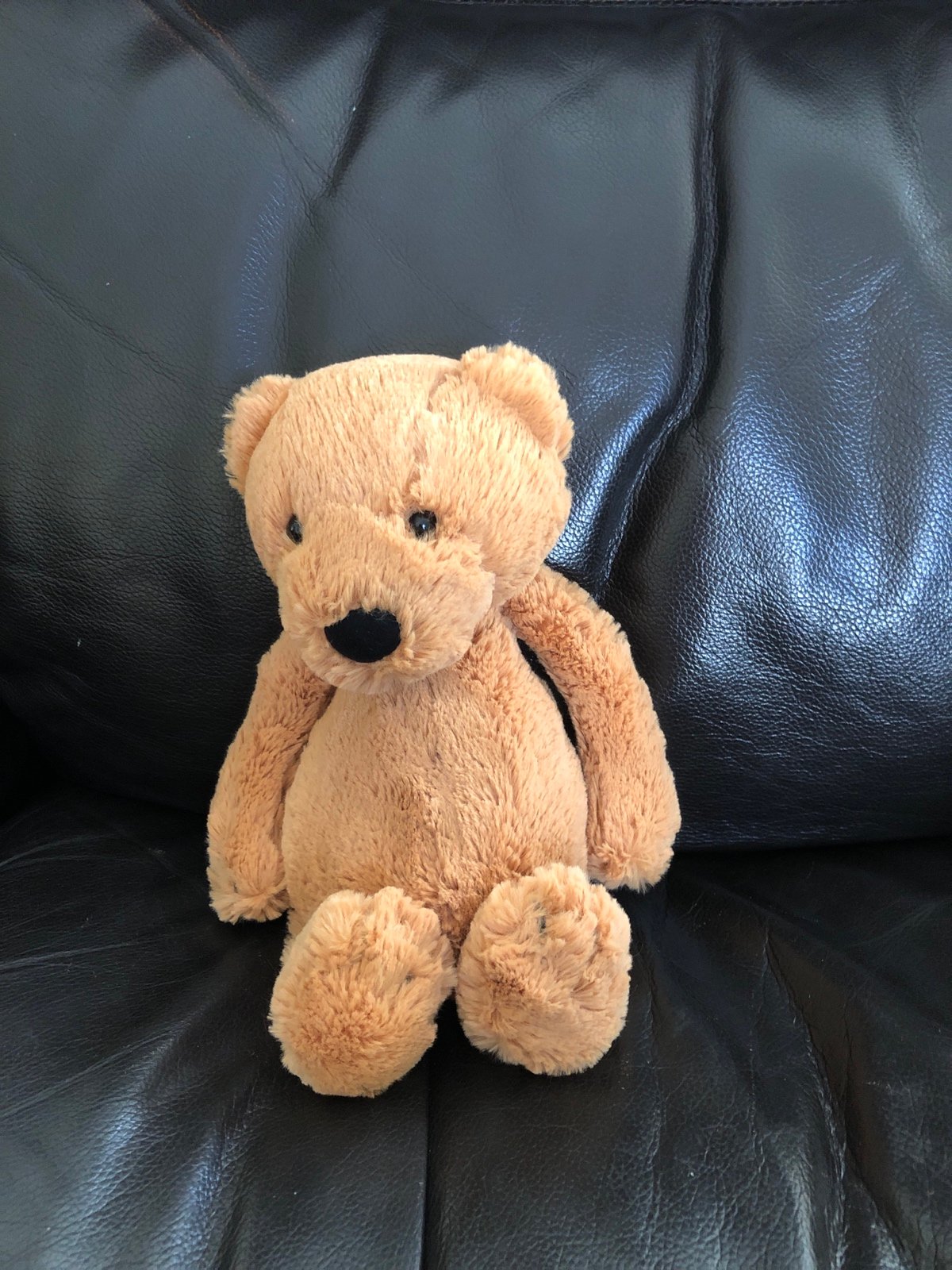 Jellycat og bashful bear medium plush
