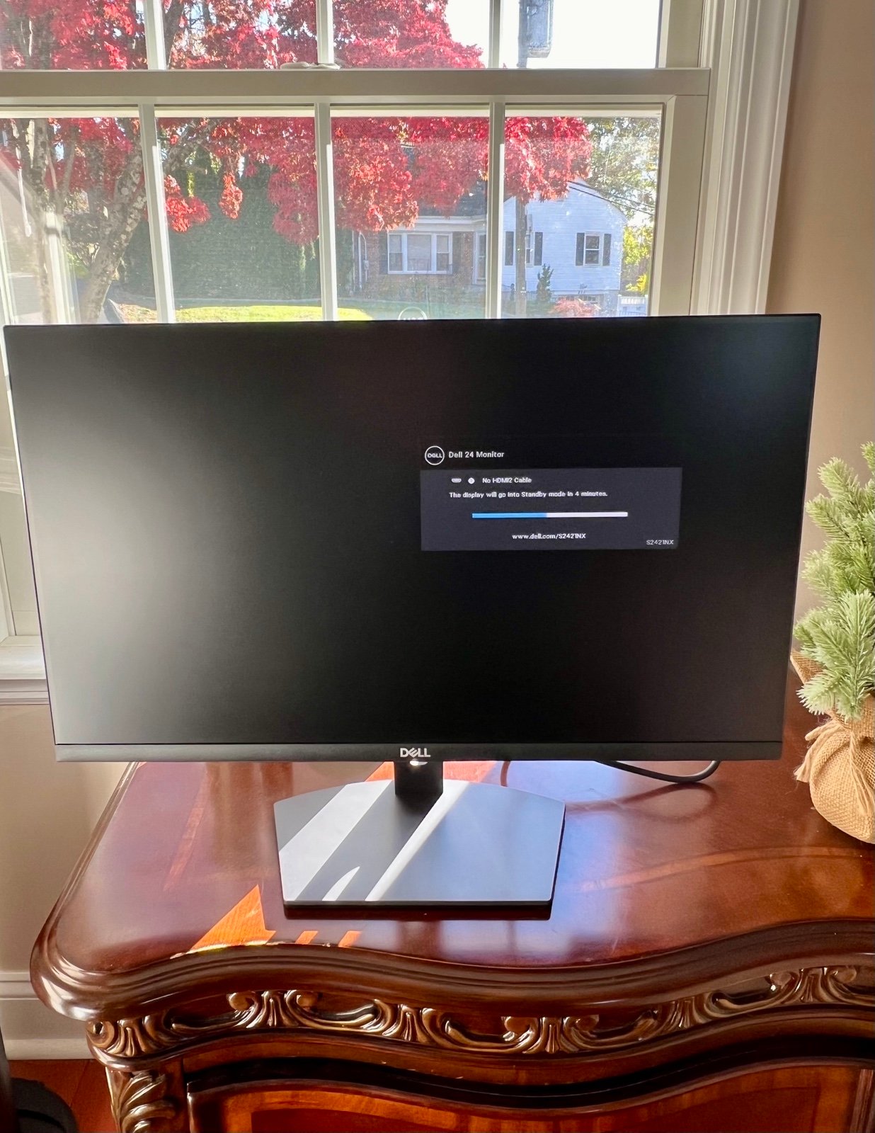 Dell 24” Monitor
