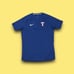 Texas Rangers Nike MLB performance apparel dri-fit shirt