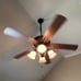 ceiling fan