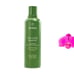 Aveda Be Curly Advanced Shampoo 250ml / 8.5oz
