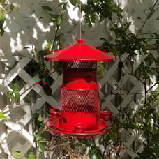 VECELO Bird Feeders for Outdoors Hanging, Large Capacity, 4 Water Cups & 6 Feedi