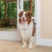 PetSafe 1-Piece Sliding Glass Pet Door for Dogs and Cats - Adjustable Height