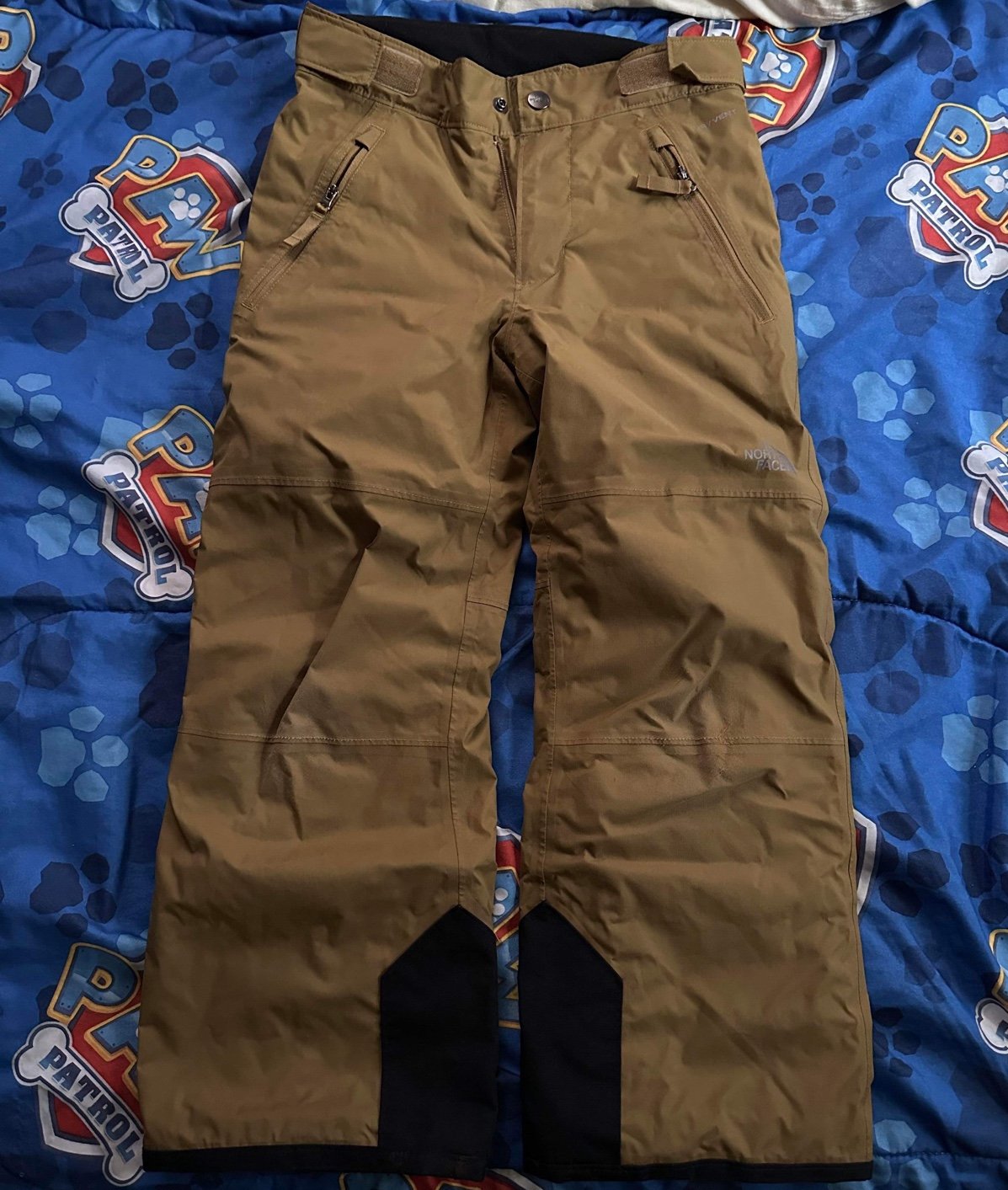 The north face ski pant
