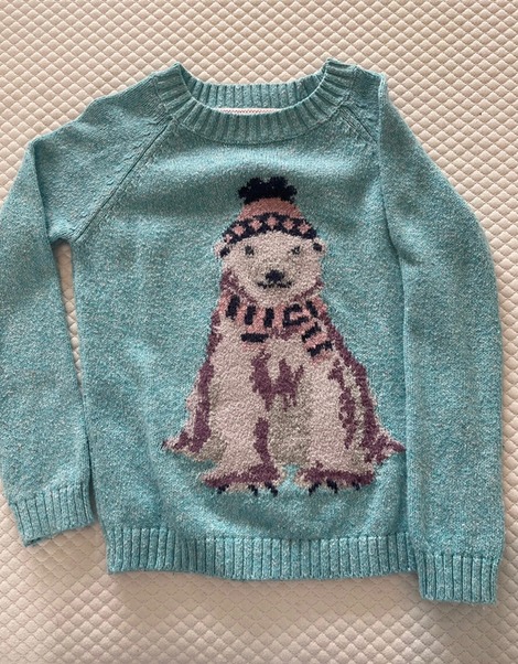 Fat face polar bear jumper