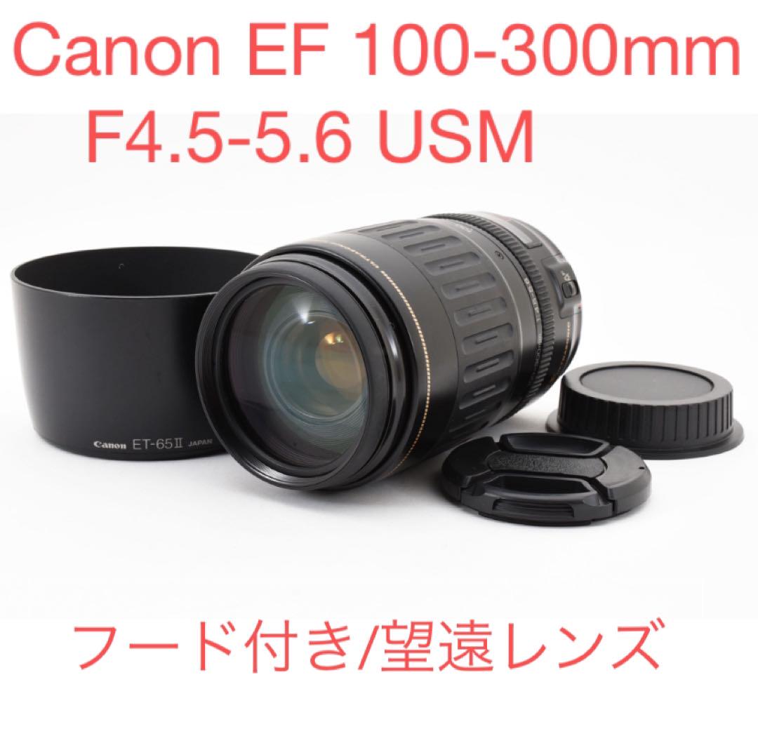 Super Telephoto Lens / Canon EF 100-300mm F4.5-5.6 USM
