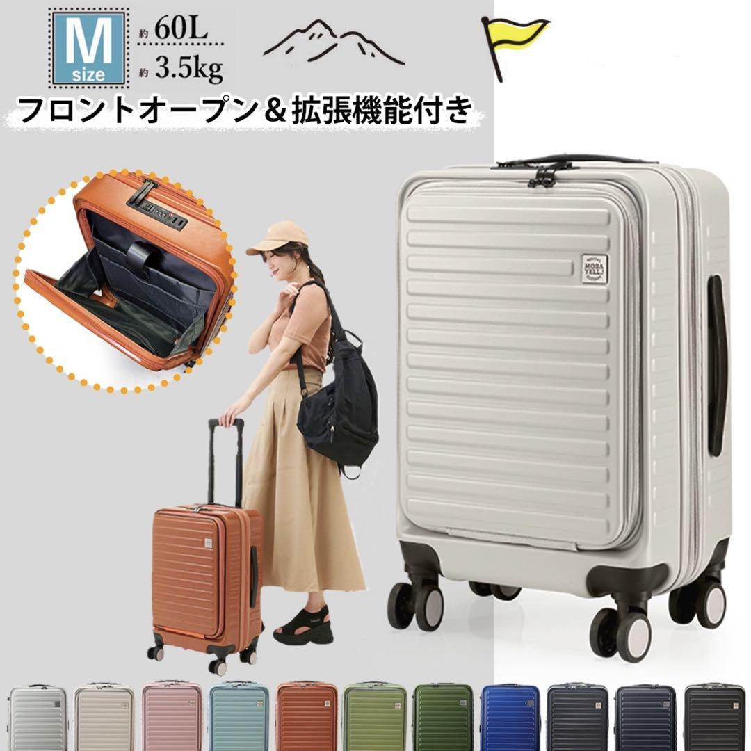 Carry Case, M Size, Front Open, Dusty Color