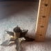 Vintage Brass Holly Leaf Candleholders Made In India- 2 Pieces