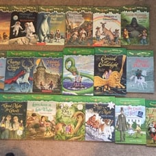 Magic Tree House book lot