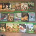 Magic Tree House book lot