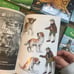 Magic Tree House book lot